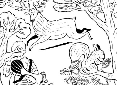 Fiche jeu coloriage foret vign