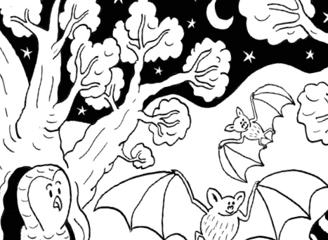 Fiche jeu coloriage animaux nuit vign