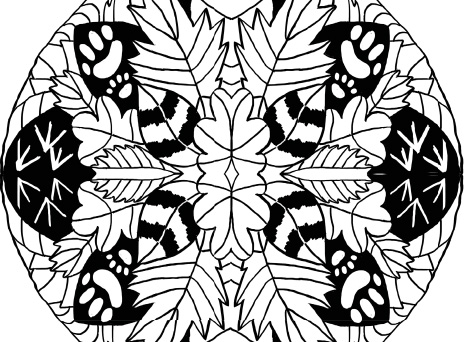 Fiche jeu coloriage mandala nature vign