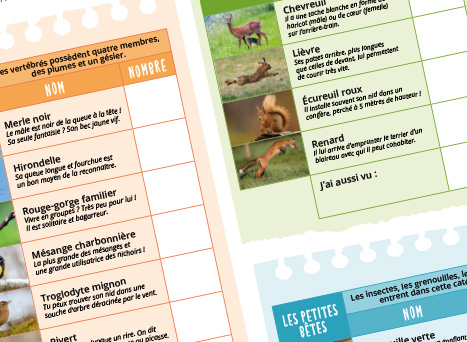 Fiche jeu ext comptage animaux vign