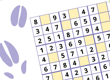 Fiche jeu remue meninge sudoku vign