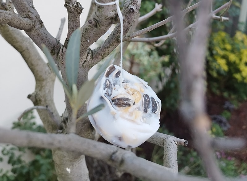 Fiche bricolage ta boule de graisse pour oiseaux