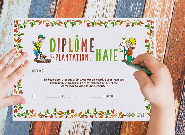 Ton diplôme plantation de haie