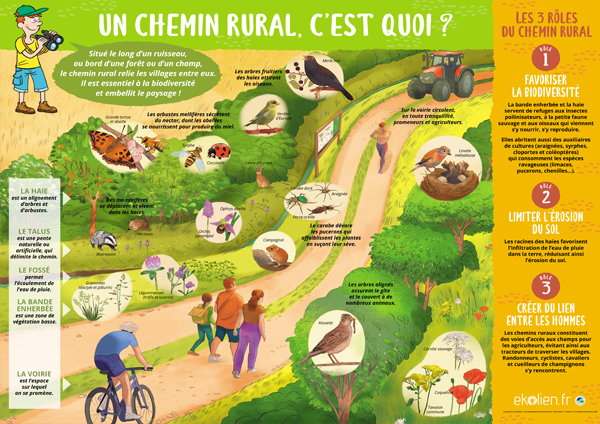 Un chemin rural, c’est quoi ?