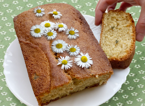 Ton quatre-quarts pâquerette