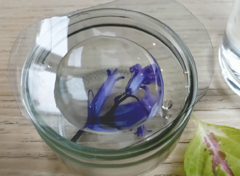 Ta boîte à loupe